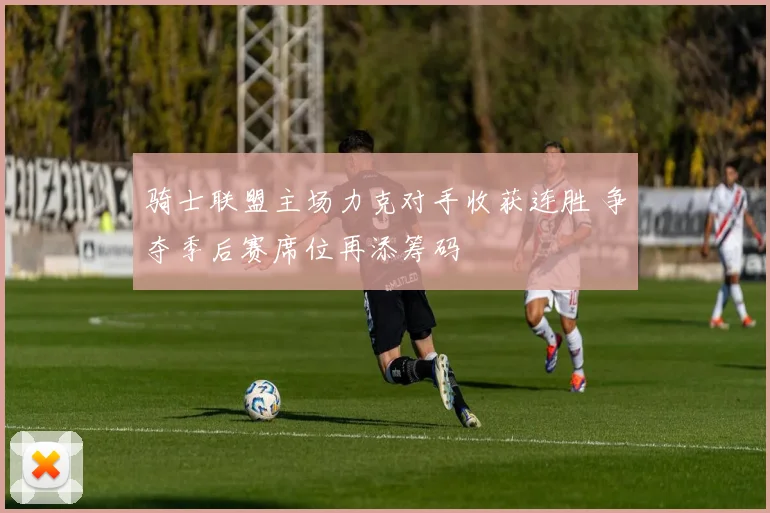 骑士联盟主场力克对手收获连胜 争夺季后赛席位再添筹码
